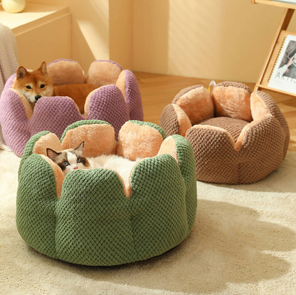 Lit pour Animaux CozyCactus™