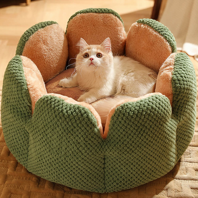 Lit pour Animaux CozyCactus™